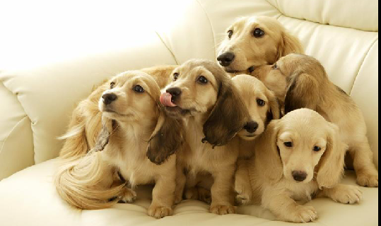    �������\